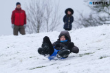 A day out in the snow at Heather Park in Newry. Photograph: Columba O'Hare/ Newry.ie - Snowy fun in Newry