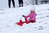 A day out in the snow at Heather Park in Newry. Photograph: Columba O'Hare/ Newry.ie - Snowy fun in Newry