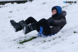 A day out in the snow at Heather Park in Newry. Photograph: Columba O'Hare/ Newry.ie - Snowy fun in Newry