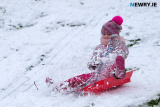 A day out in the snow at Heather Park in Newry. Photograph: Columba O'Hare/ Newry.ie - Snowy fun in Newry