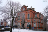 Newry Snowy Days 2021