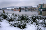 Newry Snowy Days 2021