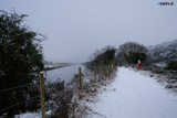 Newry Snowy Days 2021