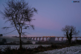 Newry Snowy Days 2021