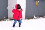 Newry Snowy Days 2021
