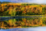 1st- Photographer: Tomasz Pietruszka - NPOY November 2022 Round - Autumn