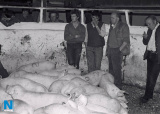 Markethill Mart around 1983. Picture: Columba O'Hare - Back to the 80's