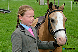 Jessica Nevin from Ardee with Tic Tac, 1st in Working Hunter class at Newry Show. - Newry Show 2026