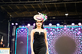 Photographs from Newry Mela at McClelland Park from Newry Indian Arts Collective. Photographs: Vyshak Mohan Photography - Newry Mela