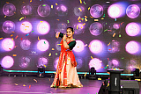 Photographs from Newry Mela at McClelland Park from Newry Indian Arts Collective. Photographs: Vyshak Mohan Photography - Newry Mela
