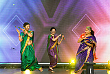 Photographs from Newry Mela at McClelland Park from Newry Indian Arts Collective. Photographs: Vyshak Mohan Photography - Newry Mela