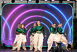 Photographs from Newry Mela at McClelland Park from Newry Indian Arts Collective. Photographs: Vyshak Mohan Photography - Newry Mela