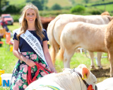 Down Rose Orlagh McNally from Saval gets a job to do at the Newry Show. Photograph: Columba O'Hare/ www.newry.ie - 2017 in Photographs