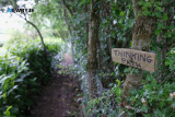 Pictured at Caroline and Frank Bagnall's Open Garden, Jerrettspass on Sunday 26 MAy 2024. Photograph: Columba O'Hare/ Newry.ie - Open Garden at Caroline and Frank Bagnall's Jerrettspass