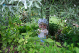 Pictured at Caroline and Frank Bagnall's Open Garden, Jerrettspass on Sunday 26 MAy 2024. Photograph: Columba O'Hare/ Newry.ie - Open Garden at Caroline and Frank Bagnall's Jerrettspass