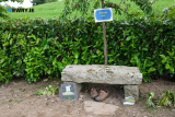 Pictured at Caroline and Frank Bagnall's Open Garden, Jerrettspass on Sunday 26 MAy 2024. Photograph: Columba O'Hare/ Newry.ie - Open Garden at Caroline and Frank Bagnall's Jerrettspass