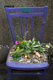 Pictured at Caroline and Frank Bagnall's Open Garden, Jerrettspass on Sunday 26 MAy 2024. Photograph: Columba O'Hare/ Newry.ie - Open Garden at Caroline and Frank Bagnall's Jerrettspass
