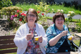 Chilling out in the beautiful Newry Cathedral garden. - Newry Cathedral Garden - Opening of Lourdes Grotto