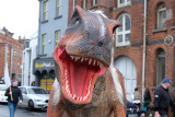 St Patrick's Day in Newry 2024. Photograph: Columba O'Hare/ Newry.ie - St Patrick's Day Newry 2024