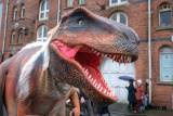 St Patrick's Day in Newry 2024. Photograph: Columba O'Hare/ Newry.ie - St Patrick's Day Newry 2024