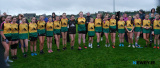 The Shamrock Gaels team who beat Shane O'Neills in the Armagh LGFA U14 Division 4 Championship Final at Crossmaglen.   - Armagh LGFA Final's Lissummon V Keady and Shamrock Gaels V Shane O'Neills