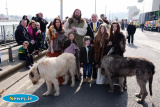 St Patrick's Day, Newry 2016. Photograph: Columba O'Hare - St Patrick's Day Newry 2016