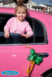 St Patrick's Day, Newry 2016. Photograph: Columba O'Hare - St Patrick's Day Newry 2016