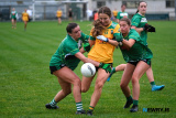 Pictured at the Lissummon v Keady Buttercrane Armagh LGFA Junior Championship Final at Crossmaglen between Lissummon and Keady. Lissummon emerged victorious 1-11 to 1-4. Photograph: Columba O'Hare/ Newry.ie  - Armagh LGFA Final's Lissummon V Keady and Shamrock Gaels V Shane O'Neills