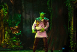 Newry Musical Society's production of Shrek The Musical in Newry Town Hall. Photograph: Columba O'Hare/ Newry.ie  - Shrek The Musical from Newry Musical Society