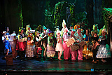 Newry Musical Society's production of Shrek The Musical in Newry Town Hall. Photograph: Columba O'Hare/ Newry.ie  - Shrek The Musical from Newry Musical Society