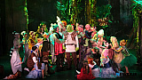 Newry Musical Society's production of Shrek The Musical in Newry Town Hall. Photograph: Columba O'Hare/ Newry.ie  - Shrek The Musical from Newry Musical Society