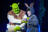 Newry Musical Society's production of Shrek The Musical in Newry Town Hall. Photograph: Columba O'Hare/ Newry.ie  - Shrek The Musical from Newry Musical Society