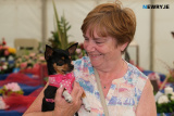 Barbara Watson and Pippin at Newry Show. Photograph: Columba O'Hare/ Newry.ie  - Newry Show 2023