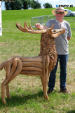 A great day out was had by all at Newry Show today. Photograph: Columba O'Hare/ Newry.ie - Newry Show 2023