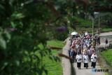 The The Society of St Pius X celebrating the feast of the Assumption at Ballyholland Mass Rock. Photograph: Columba O'Hare/ Newry.ie - The Society of St Pius X celebrate the feast of the Assumption at Ballyholland Mass Rock 