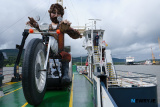 Wake the Giant festival . Photograph: Columba O'Hare/ Newry.ie - Wake the Giant 2023