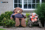 The Armagh colours are appearing everywhere coming up to this weekends All Ireland Final. Photograph: Columba O'Hare/ Newry.ie - Armagh's Orange and White makeover 2024