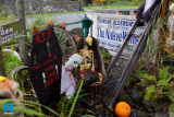 Fitzpatrick's Halloween
