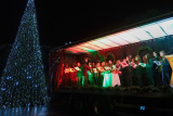 Light up a Life at Evora Hospice. Photograph: Columba O'Hare/ Newry.ie - Light Up a Life at Evora Hospice