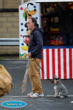 Pride in Newry Festival 2016. Photograph: Columba O'Hare - Pride in Newry Festival 2016