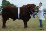 Russell Kelly, Londonderry with Ryan and Russell Kelly's Saler Champion at Newry Show. - Newry Show 2025