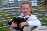 Sadie Cuddy, Dungannon with her Dutch Spotted Sheep.  - Newry Show 2025