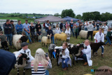 The Young Handling Competition in full swing at Newry Show.  - Newry Show 2025