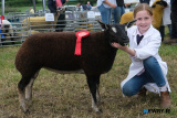 Sophie McCullough, Dromara, first in the Young Handling Competition at Newry Show. - Newry Show 2025