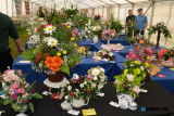Stunning floral entries at Newry Show.  - Newry Show 2025