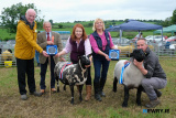 The Interbreed Sheep Champion at Newry Show was the Supreme Champion Dutch Spotted, left while the reserve was the Suffolk Champion. Included from left are: Brendan Durkin, Newry Show; Jim Aiken, Dromara, Judge; Joanne Reid, Armagh; Marjory Blackburn, Irish Shows Association who made the presentations on behalf of sponsors Norbrook Laboratories and Mike Reynolds, Glenanne.  - Newry Show 2025