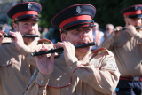 Pictured at the Twelfth parade in Newry as participants prepare to head to the field in Dromara. Photograph: Columba O'Hare/ Newry.ie - The Twelfth in Newry