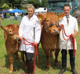 Stephen Crawford and Julie-Anne Cairns with the Limousin Cow champion, and her calf, at Newry Show 2023 - Newry Show 2023
