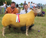 Trevor Bell (right) with the Sheep Inter-Breed champion at Newry Show 2023. Adding his congratulations is Eamonn Convery, who judged the class - Newry Show 2023