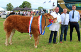 Connor Mulholland at the head of the Supreme Cattle champion at Newry Show 2023. Adding their congratulations are Martin Kirk, who judged the clss and James McAvoy, Fane Valley. - Newry Show 2023